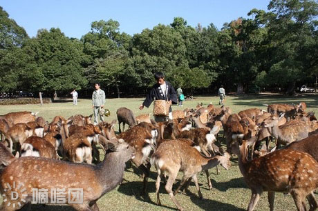 時代美容美發化妝學校課外生活